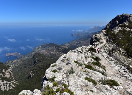 Cam de s'Arxiduc