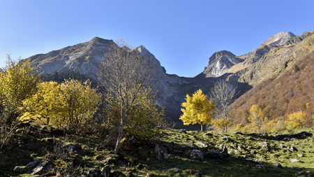 Saltants de la Larri