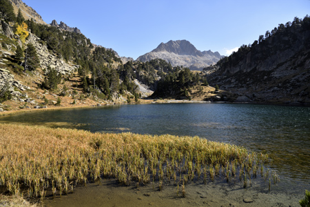 Saltants de la Larri