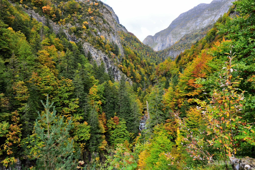 ordesa18_10.jpg