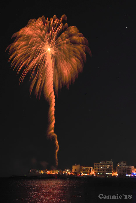 SIllotFocs18_05.jpg
