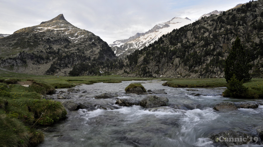 BenascEscaleta19_05.jpg