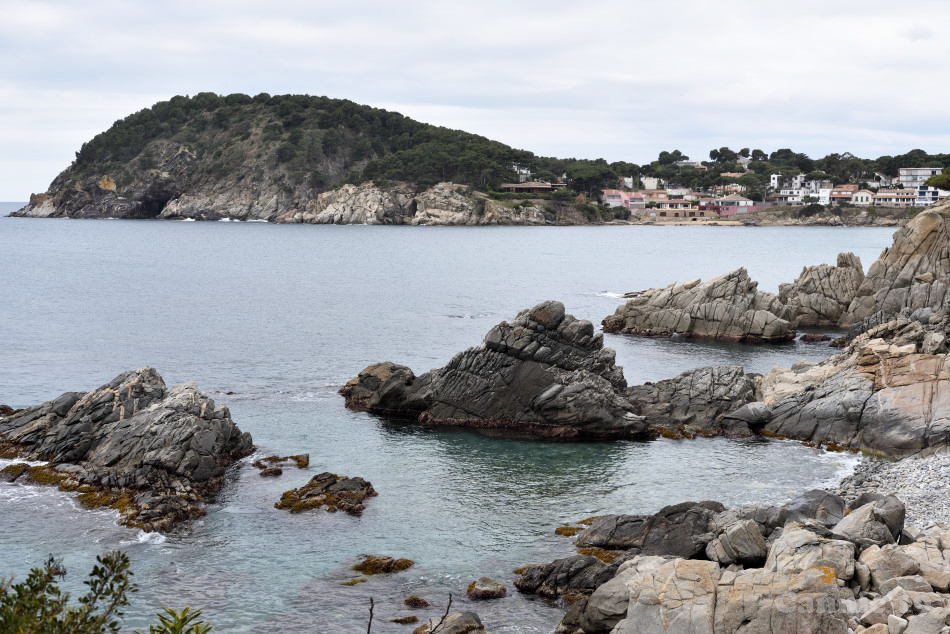 CalaSAlguer2019_01.jpg