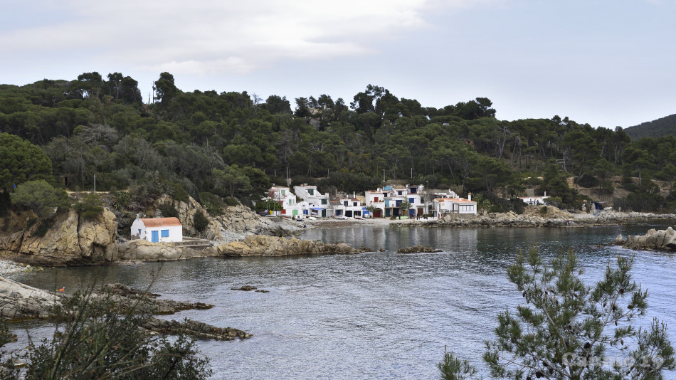 CalaSAlguer2019_04.jpg