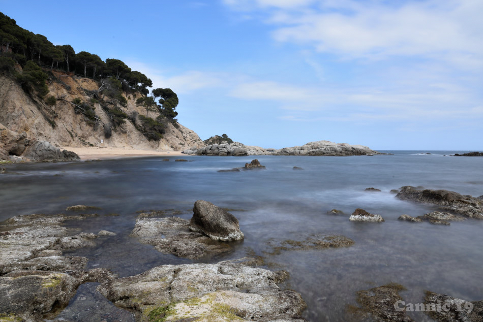 CalaSAlguer2019_20.jpg