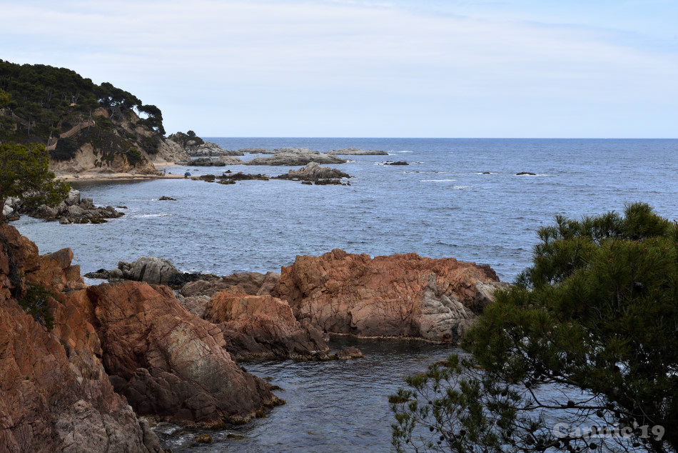 CalaSAlguer2019_24.jpg