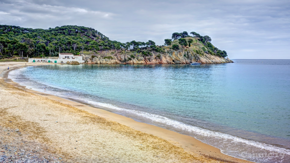 CalaSAlguer2019_31.jpg