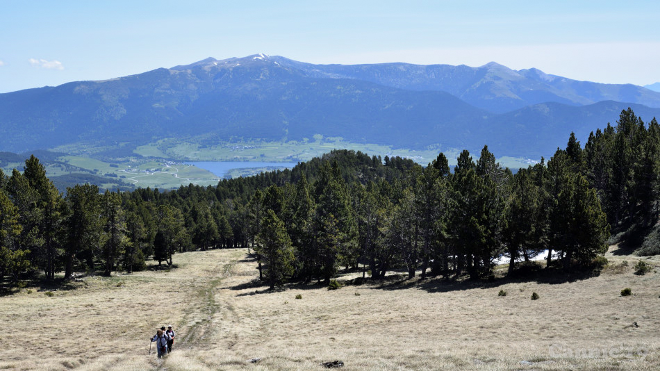 Camporells201906_03.jpg