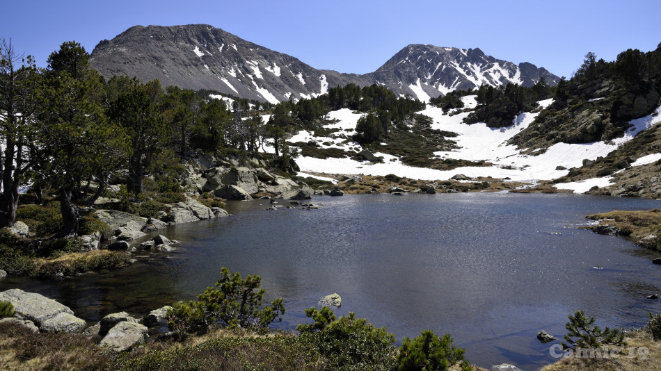 Camporells201906_33.jpg