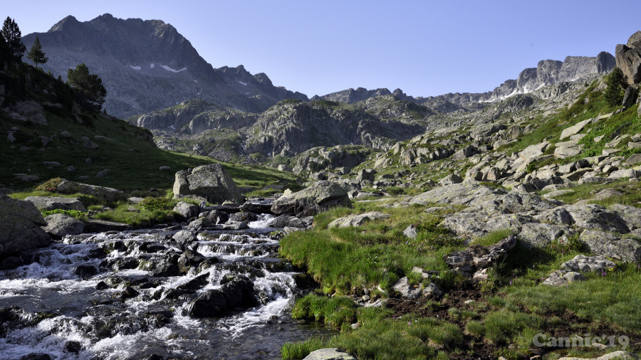 Colomers19_14.jpg