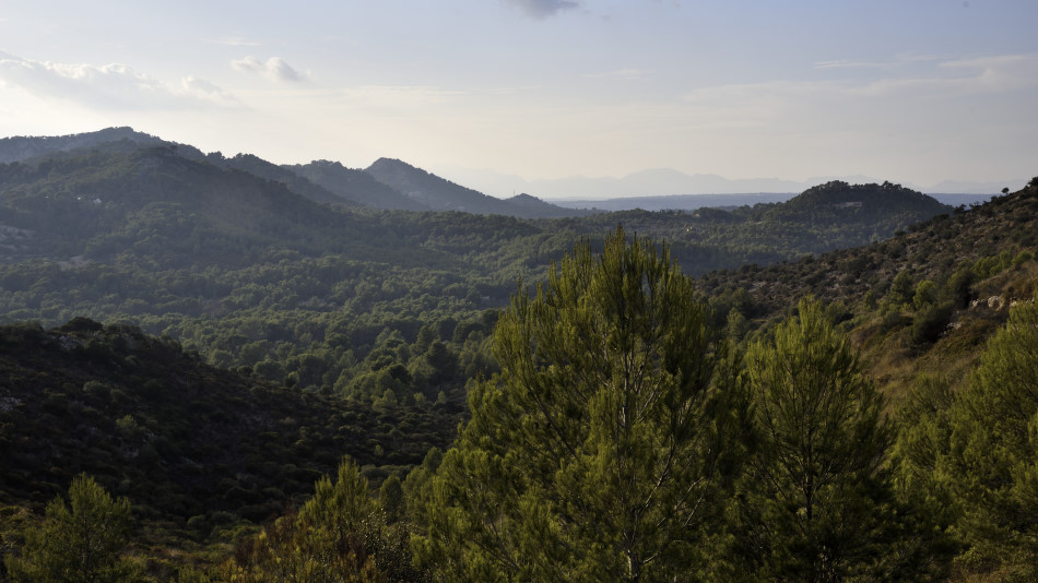 NaMoixa19_06.jpg