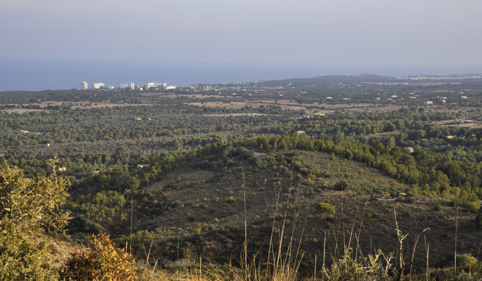 NaMoixa19_07.jpg