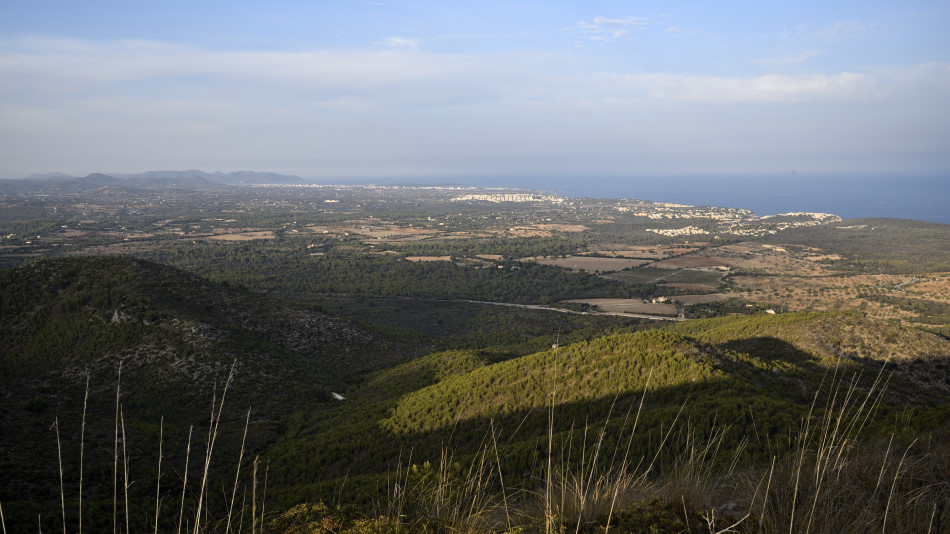 NaMoixa19_11.jpg