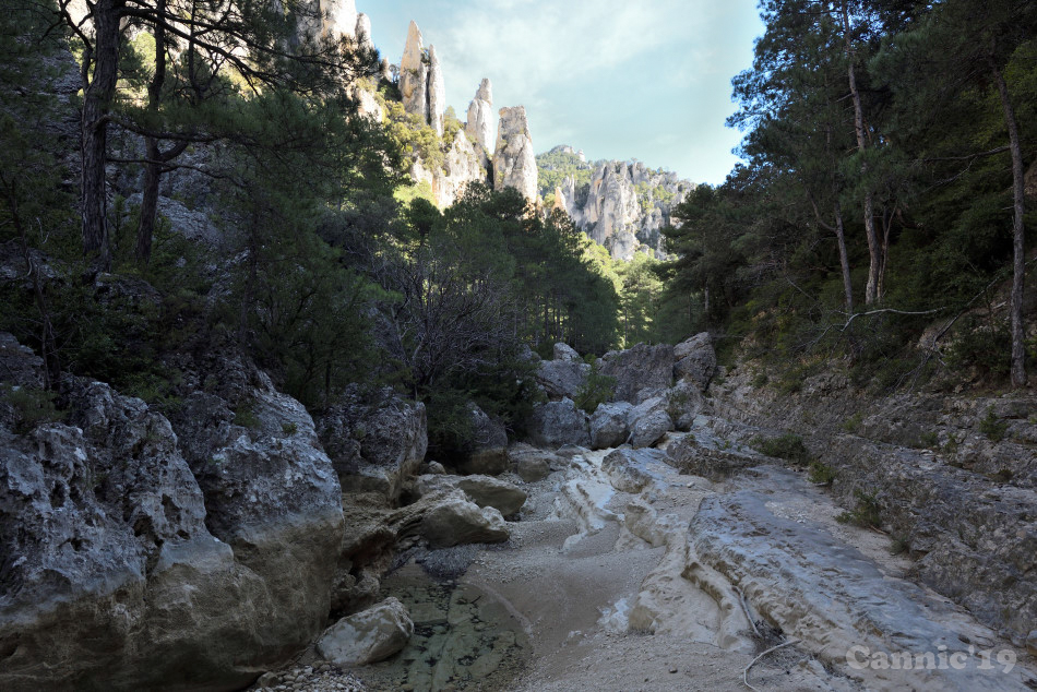 Parrissal19_10.jpg