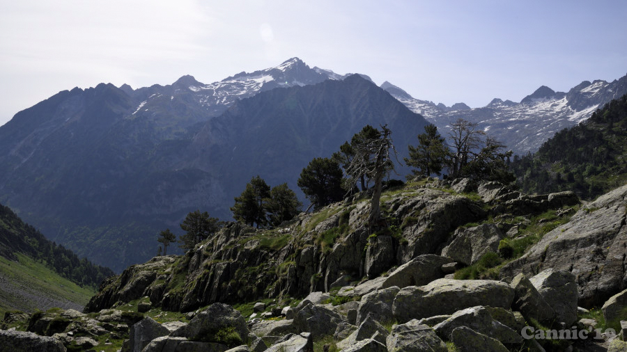 BenascEstos19_19.jpg