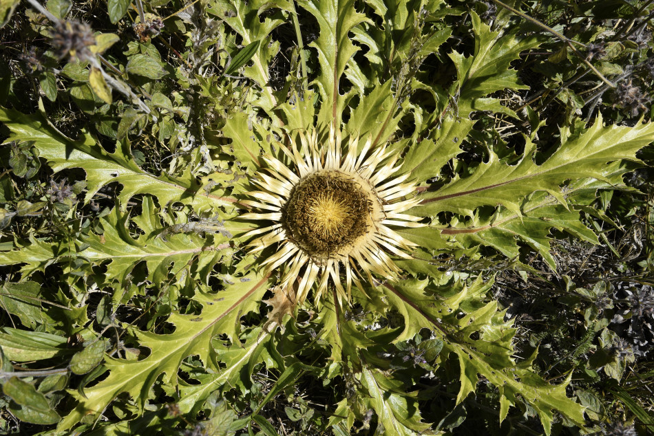 PortarroEspot19_04.jpg