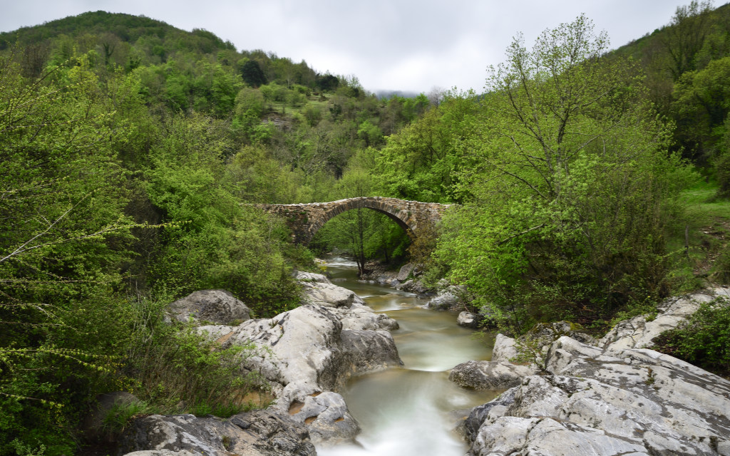 Beget2021_09.jpg