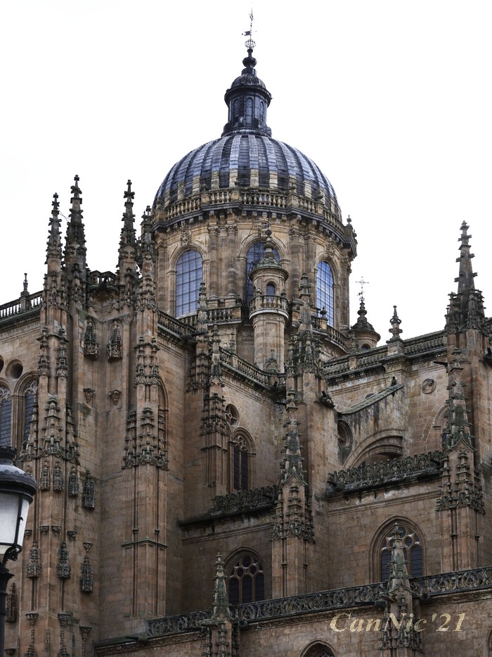 Salamanca21_21.jpg