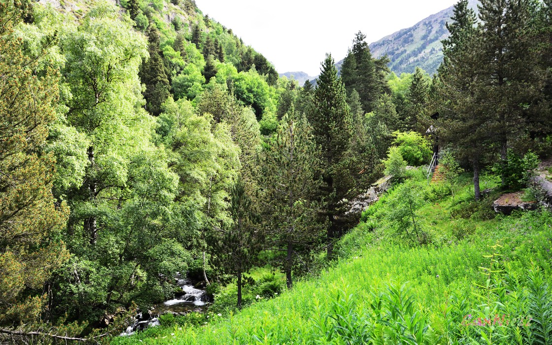 20220625EstanyBlau_01.jpg