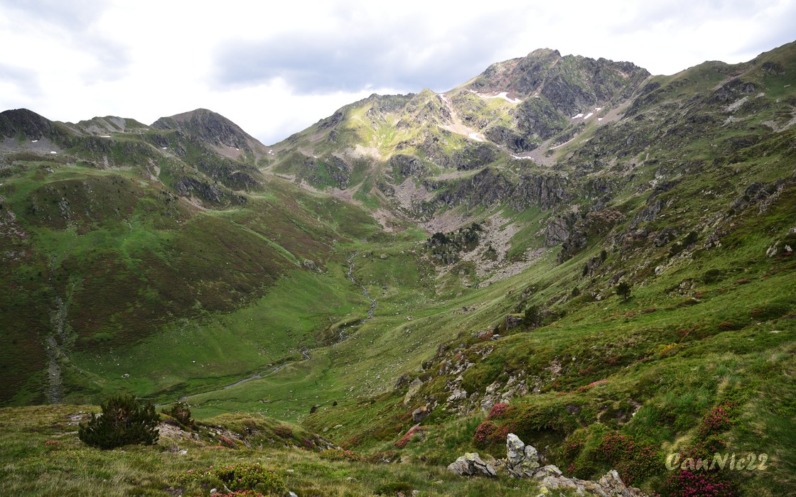 20220625EstanyBlau_19.jpg