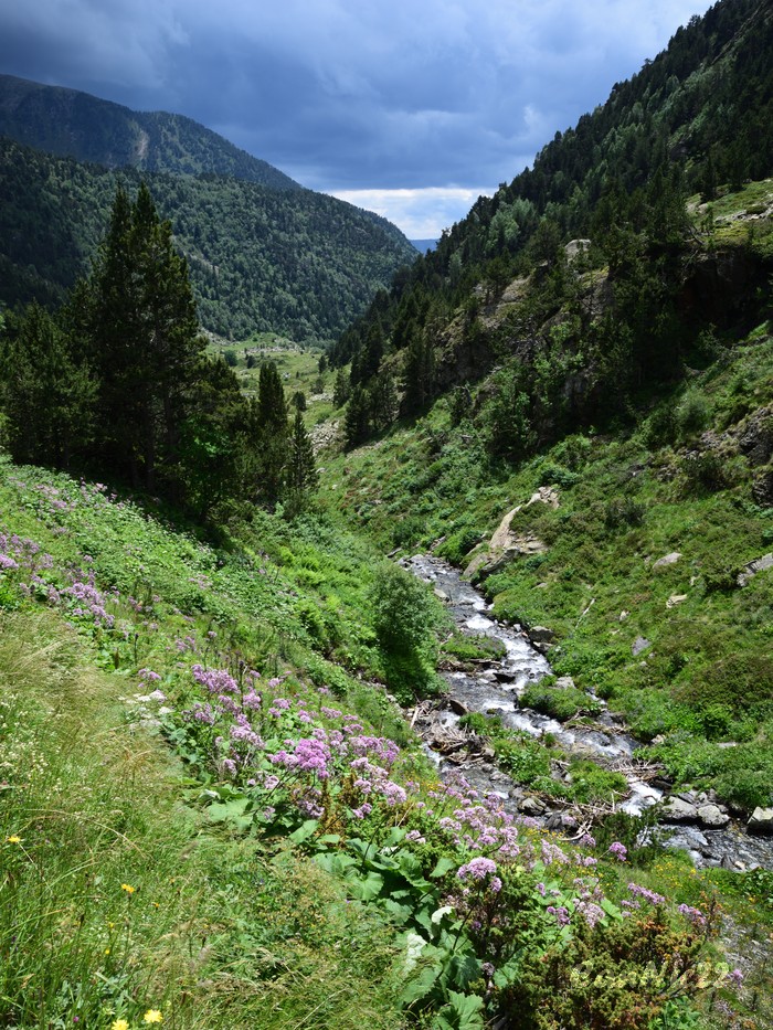 20220625EstanyBlau_28.jpg