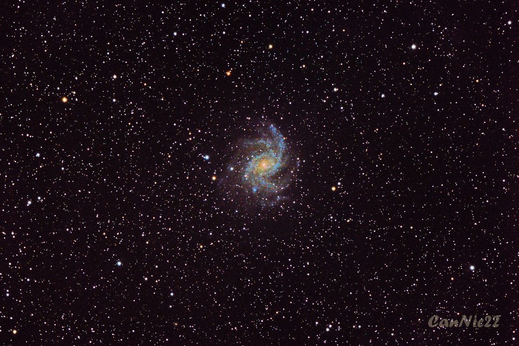 C12_20220824.jpg