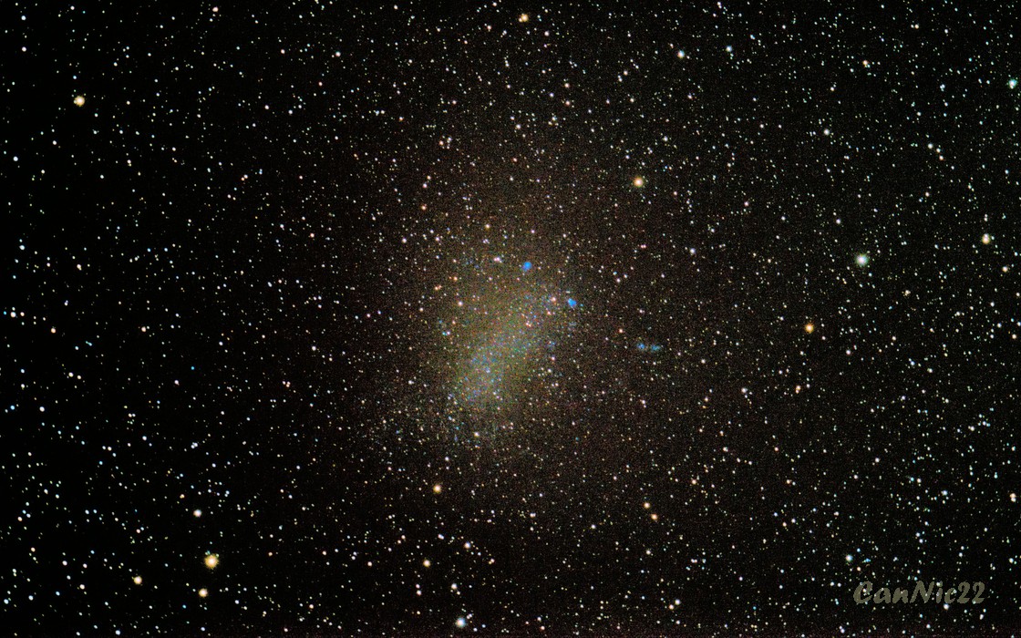C57_20220828.jpg
