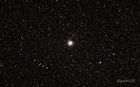 M70_20220823_small.jpg