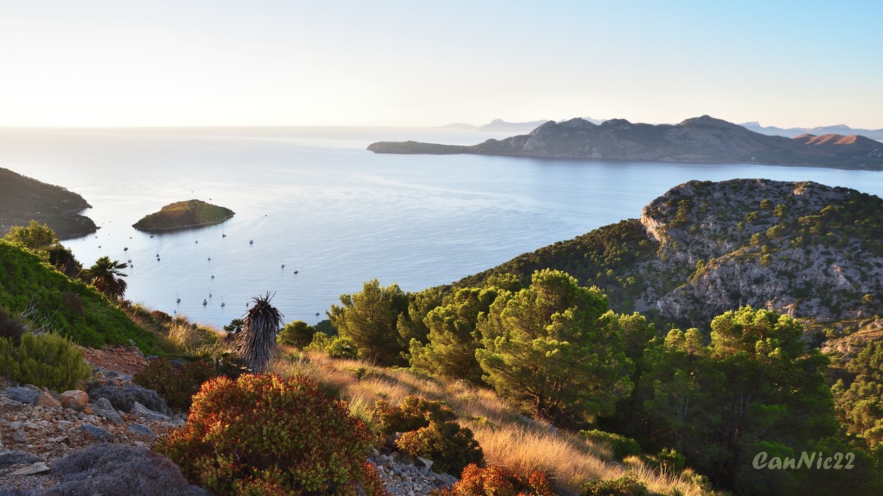 Mallorca22_14.jpg