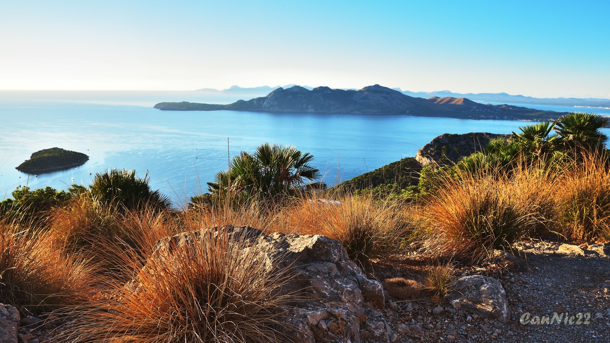 Mallorca22_15.jpg