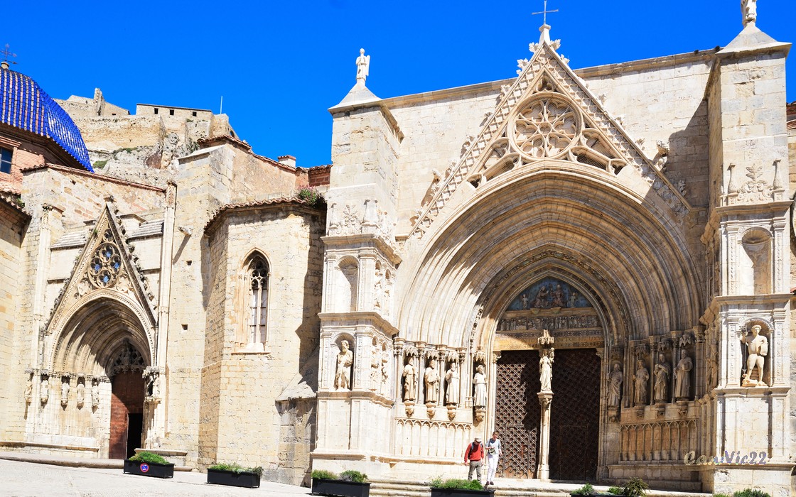 20220501Morella_06.jpg