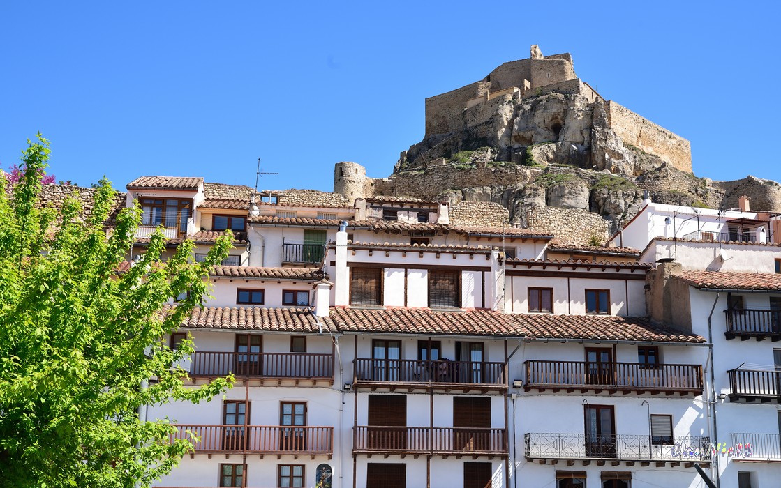 20220501Morella_08.jpg