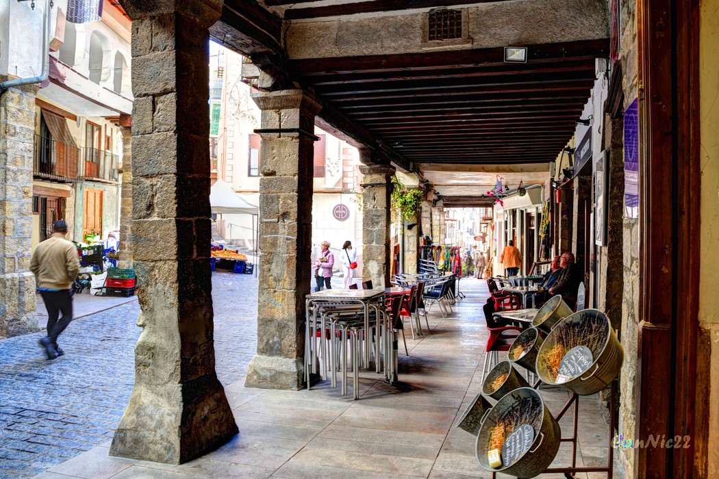 20220501Morella_11_01.jpg