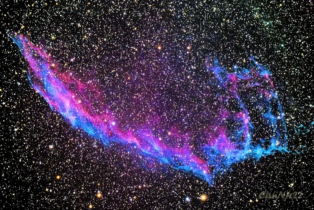 C33_20220805.jpg
