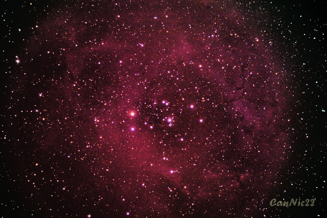 C50_20221119.jpg
