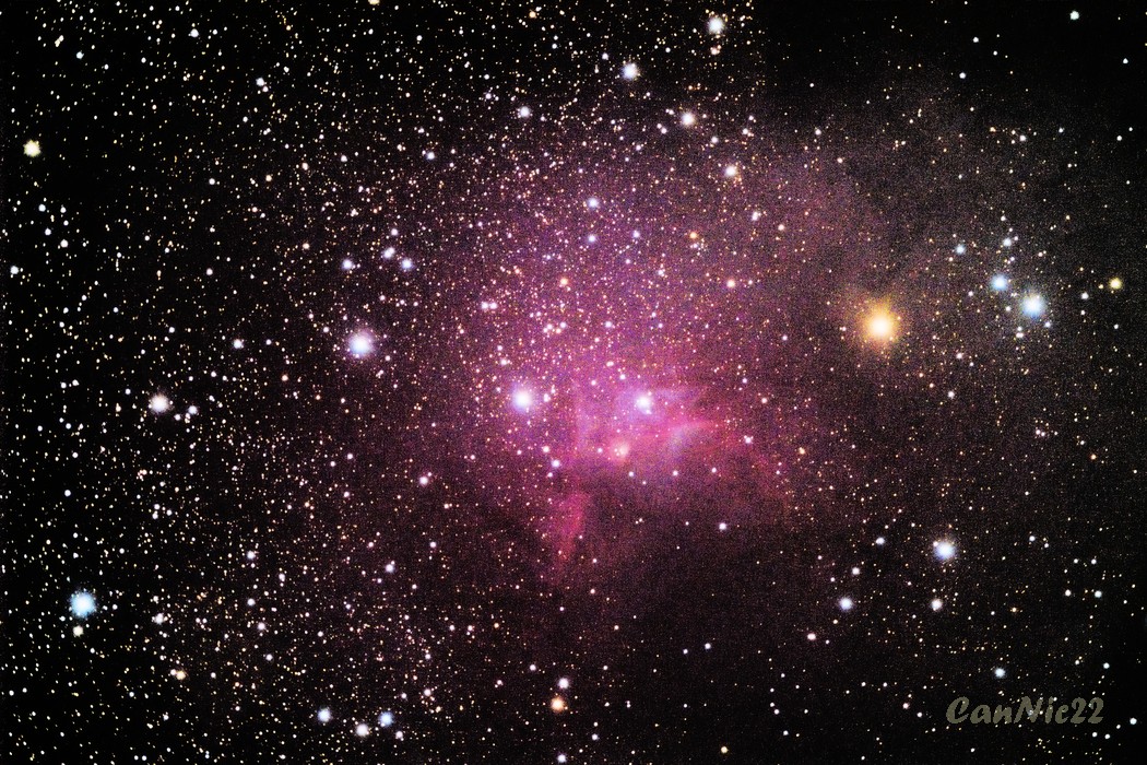 C9_20220903.jpg