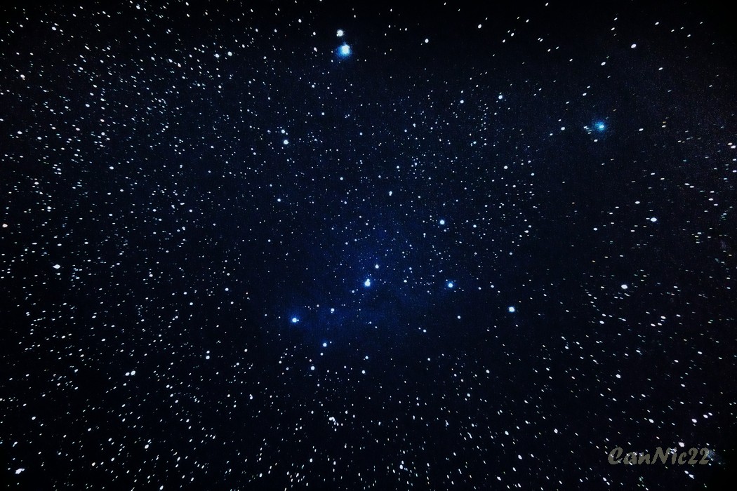 IC2169_20220210.jpg