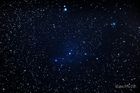 IC2169_20220210_small.jpg
