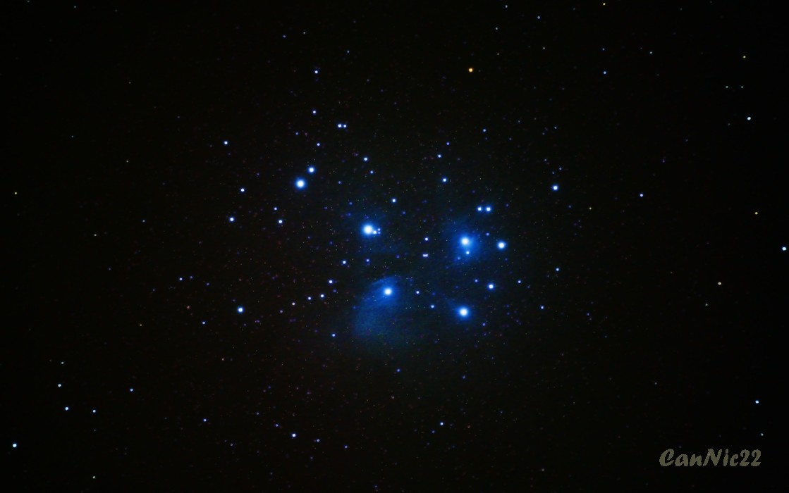 pleia-1.jpg