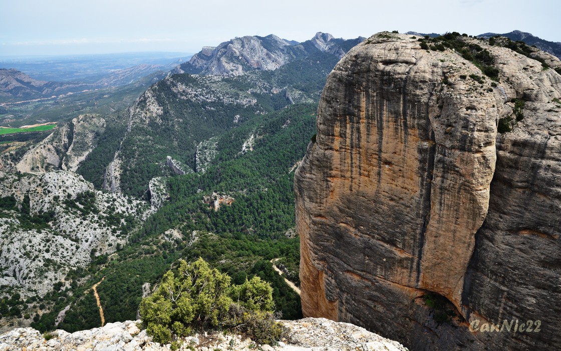 20220430RoquesBenet_35.jpg