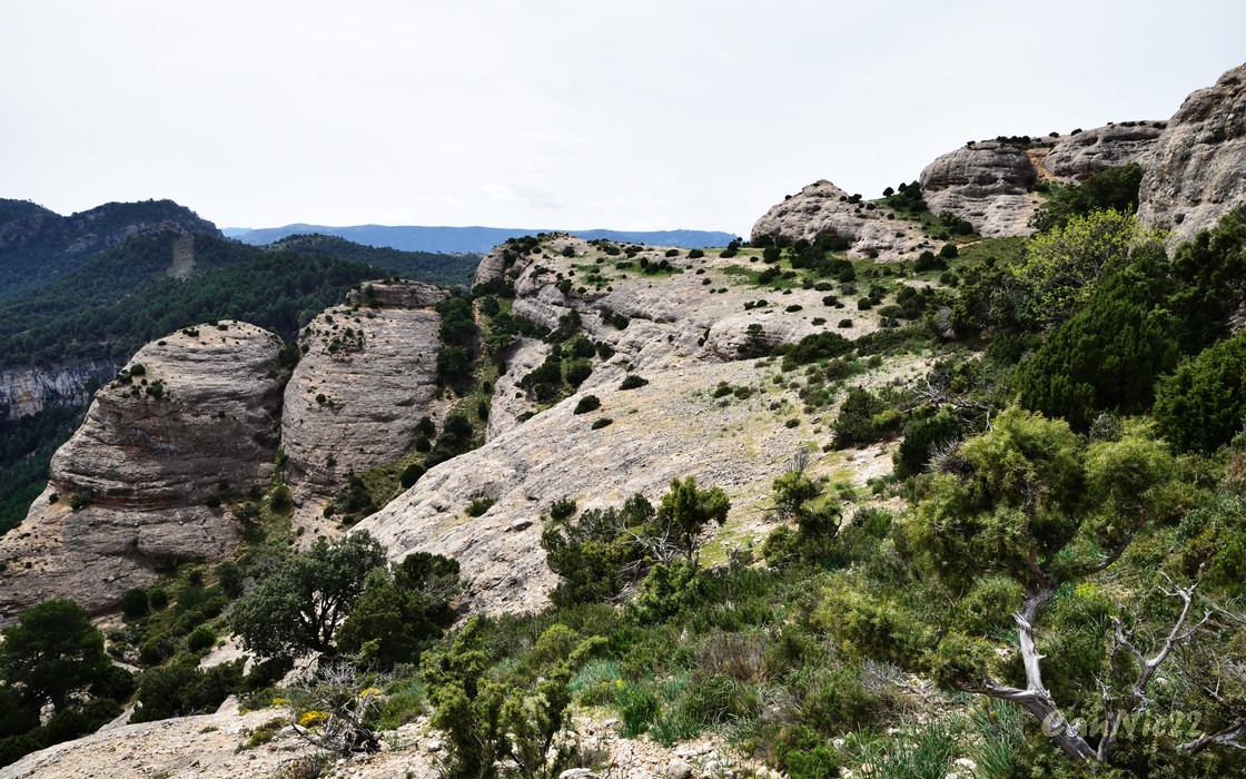 20220430RoquesBenet_37.jpg