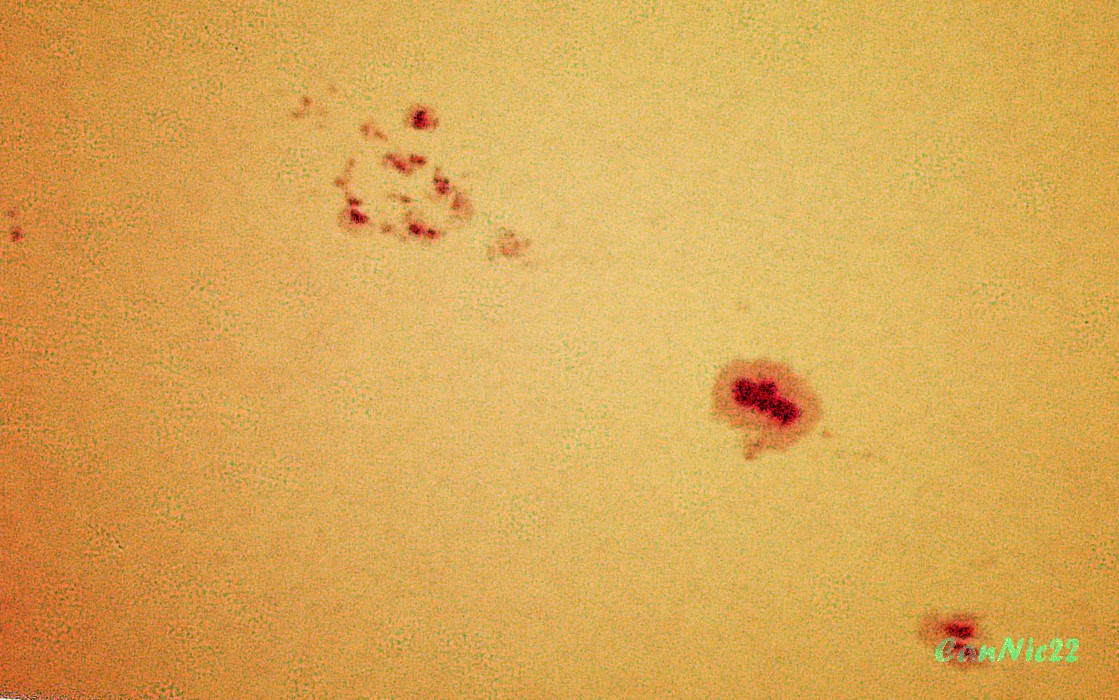 Sol_20220328_02.jpg