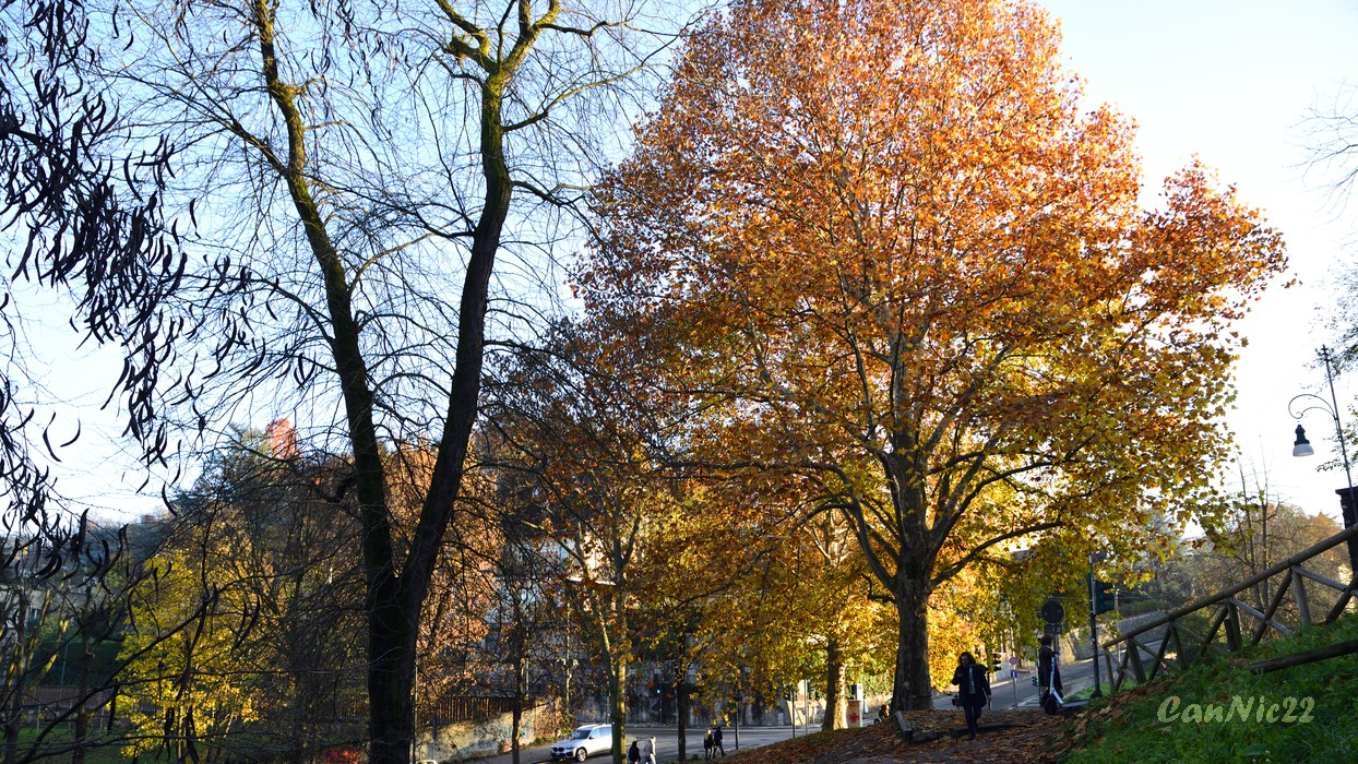 20221206Turi_01.jpg