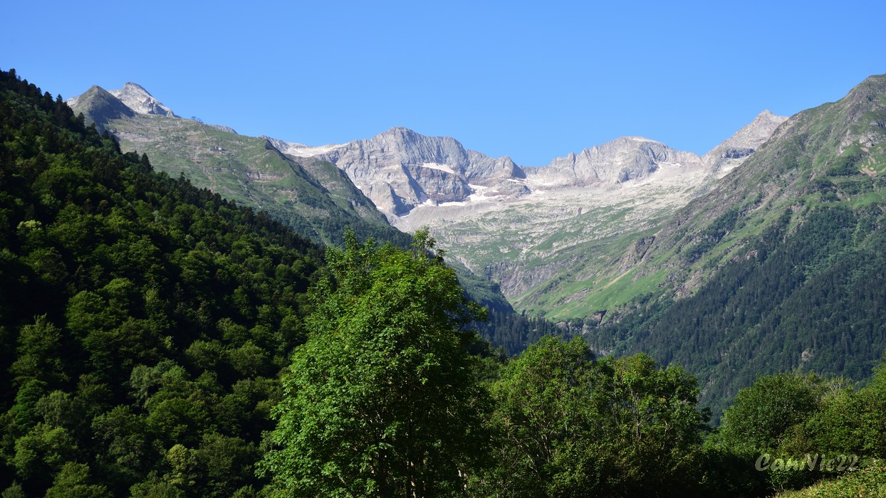 20220703Cecire_01.jpg