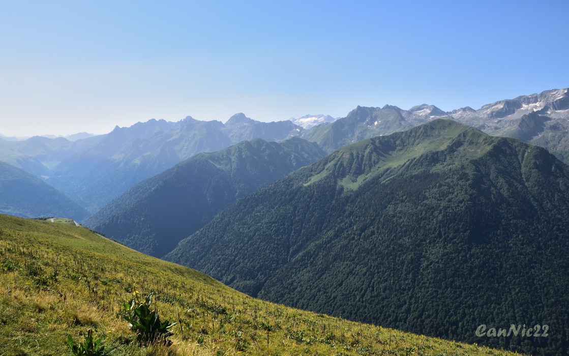 20220703Cecire_05.jpg
