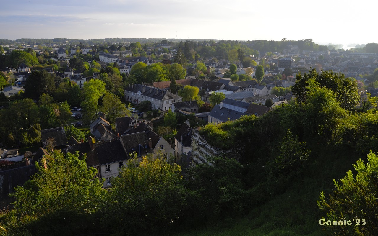 20230501Amboise_03.jpg