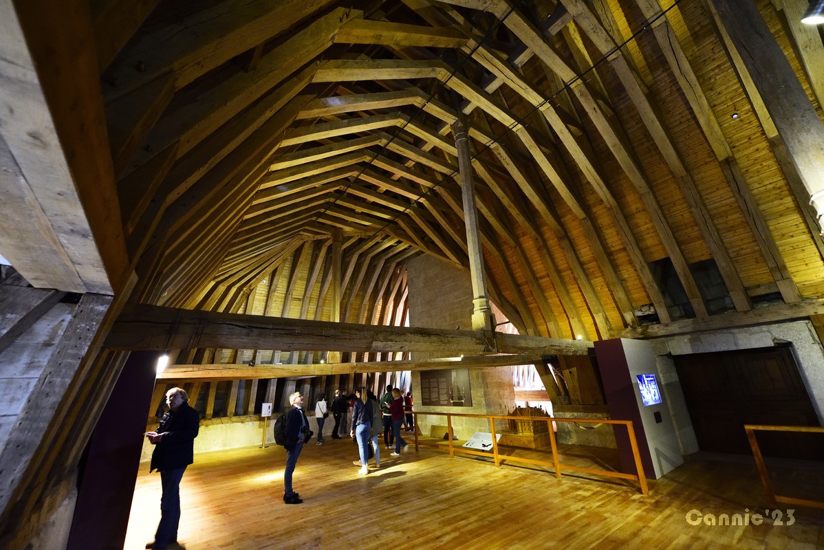 20230501Azay-le-Rideau_09.jpg