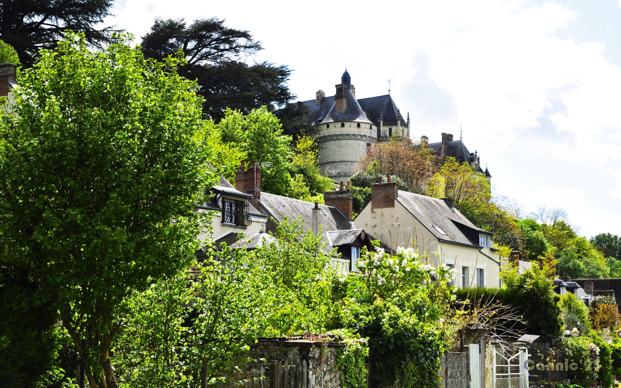 20230501Blois_27-Chaumont.jpg