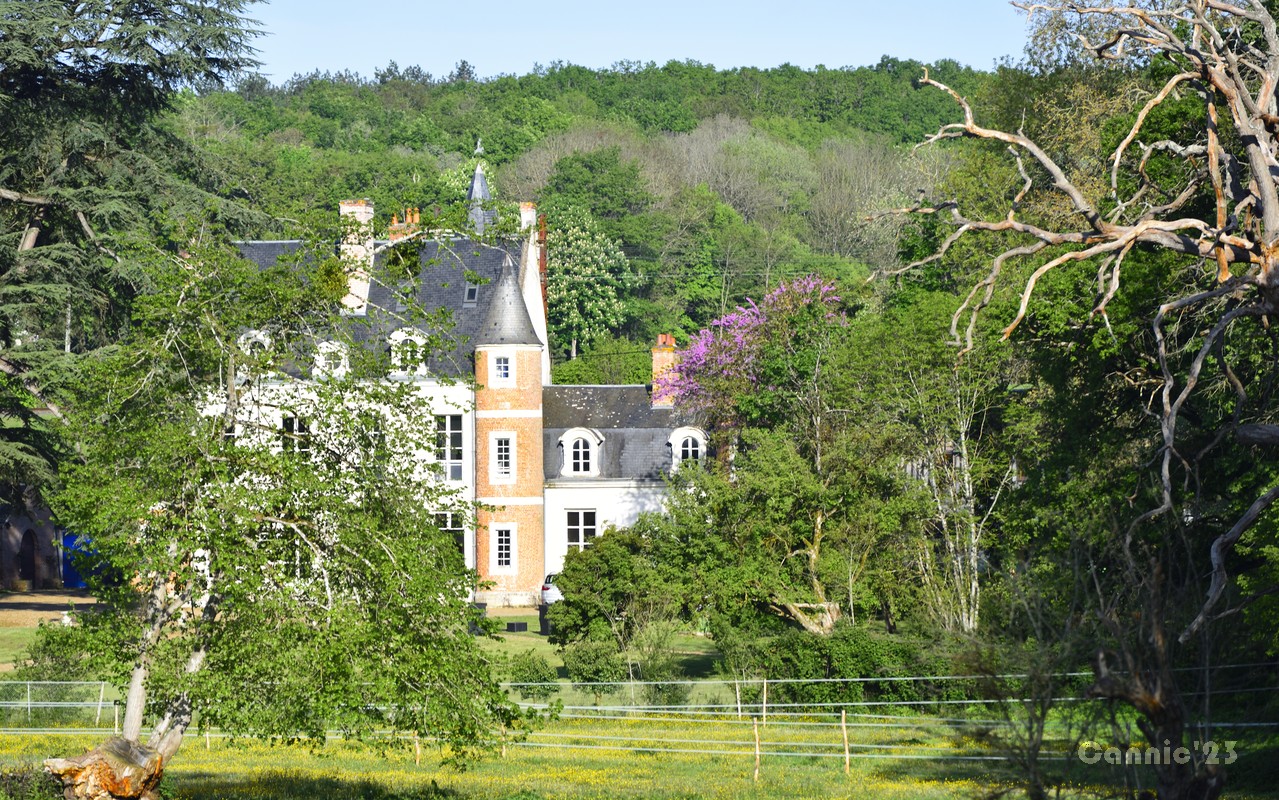 20230501Blois_29.jpg