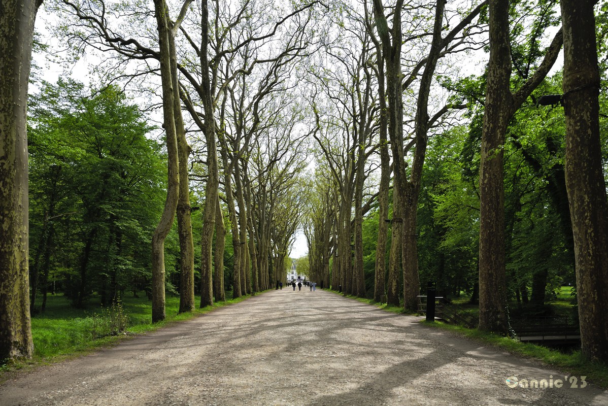 20230501Chenonceau_52.jpg